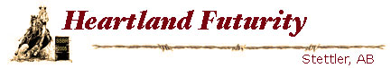 Heartland Barrel Racing Futurity & Derby