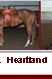 Heartland Futurity