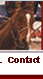 Contact Cdn Barrel Futurities